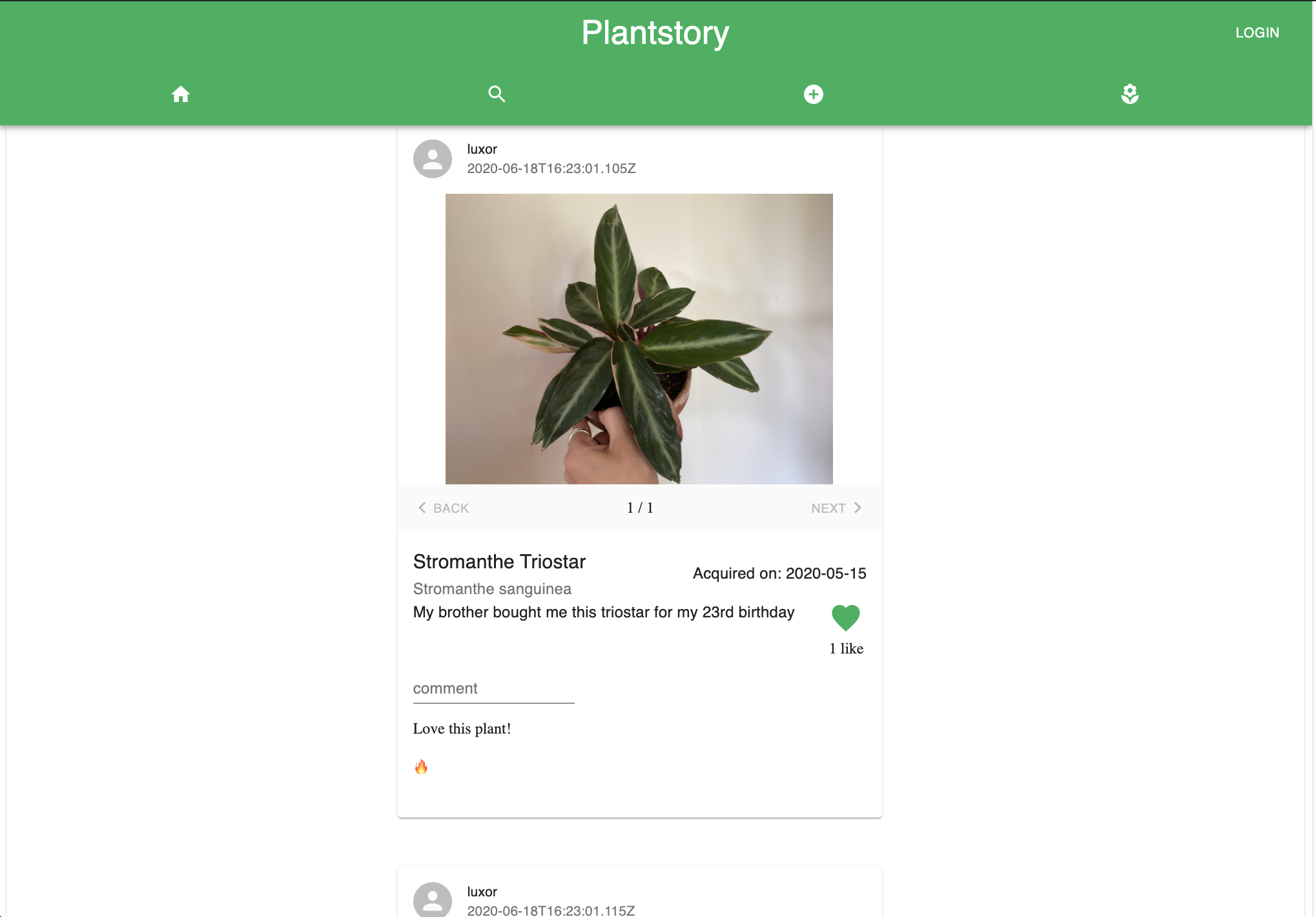 plantstory